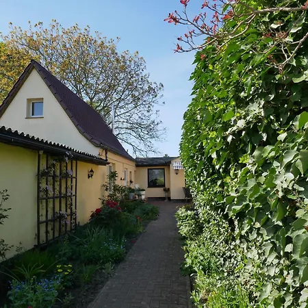 Moelschow Auf Usedom Mit Einem Garten Und W-lan Appartamento *